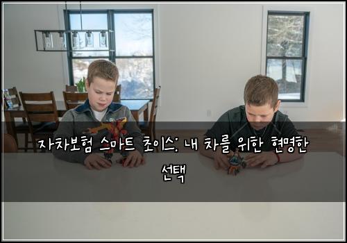  자차보험 스마트 초이스: 내 차를 위한 현명한 선택