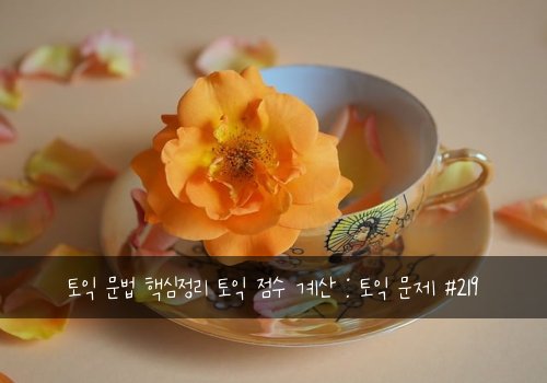 토익 문법 핵심정리 토익 점수 계산 : 토익 문제 #219