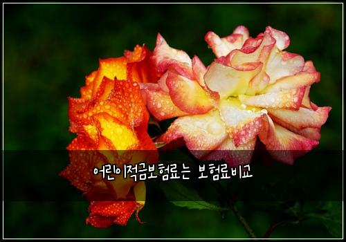 어린이적금보험료는 보험료비교