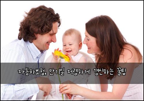  자동차보험, 만기일 저렴하게 갱신하는 꿀팁