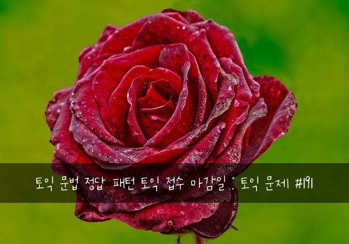 토익 문법 정답 패턴 토익 접수 마감일 : 토익 문제 #191