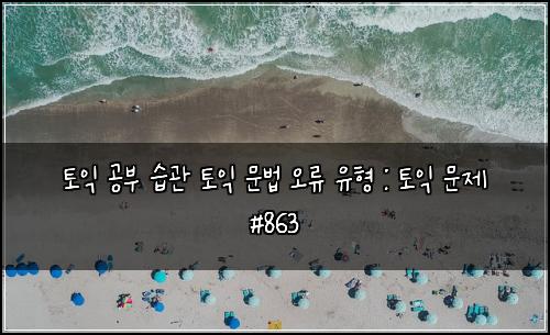 토익 공부 습관 토익 문법 오류 유형 : 토익 문제 #863