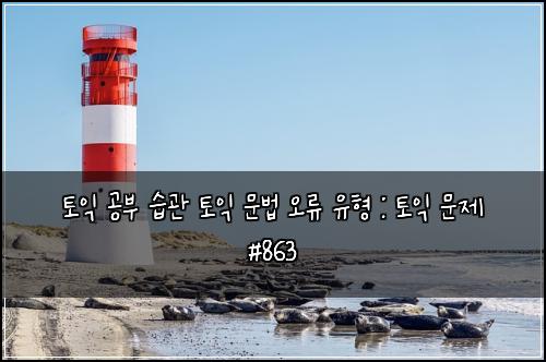 토익 공부 습관 토익 문법 오류 유형 : 토익 문제 #863