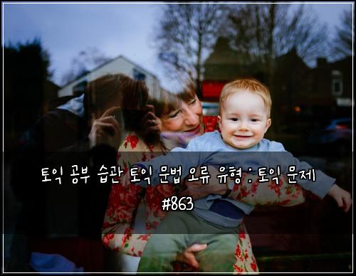 토익 공부 습관 토익 문법 오류 유형 : 토익 문제 #863