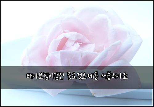 태아보험비갱신 중요정보제공 서둘러야죠