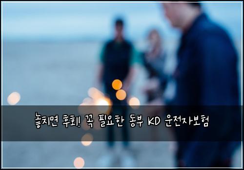  놓치면 후회! 꼭 필요한 동부 KD 운전자보험