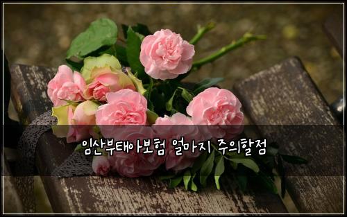임산부태아보험 얼마지  주의할점