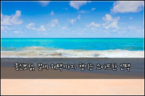종신보험, 절세 혜택까지 챙기는 스마트한 선택
