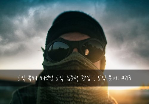 토익 독해 해석법 토익 집중력 향상 : 토익 문제 #213