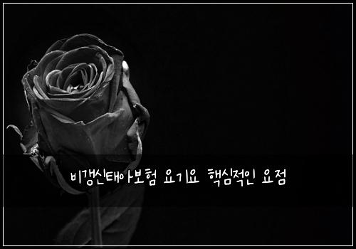 비갱신태아보험 요기요  핵심적인 요점