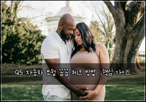 Q5 자동차 보험 꼼꼼 체크 방법 : 핵심 가이드