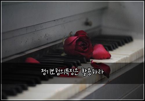 정기보험의특징은 활용하라