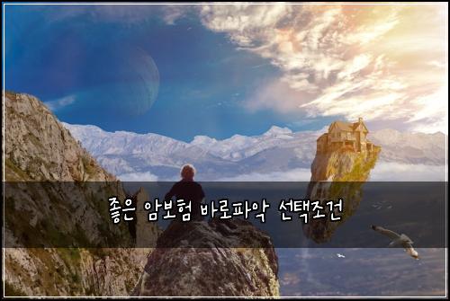 좋은 암보험 바로파악  선택조건