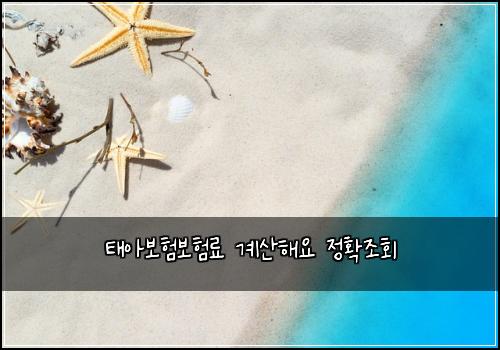 ํ์๋ณดํ๋ณดํ๋ฃ ๊ณ์ฐํด์ ์ ํ์กฐํ