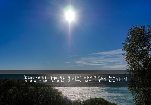  농협암보험, 현명한 초이스: 암으로부터 든든하게