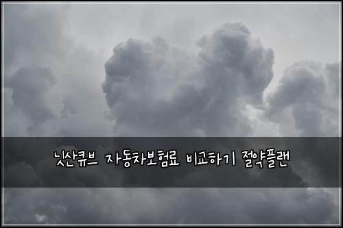 ๋์ฐํ๋ธ ์๋์ฐจ๋ณดํ๋ฃ ๋น๊ตํ๊ธฐ ์ ์ฝํ๋