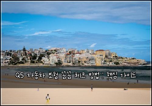 Q5 자동차 보험 꼼꼼 체크 방법 : 핵심 가이드