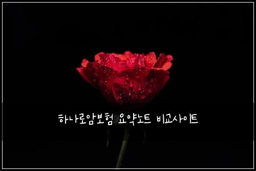 하나로암보험 요약노트  비교사이트