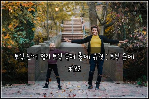 토익 단어 정리 토익 독해 출제 유형 : 토익 문제 #782