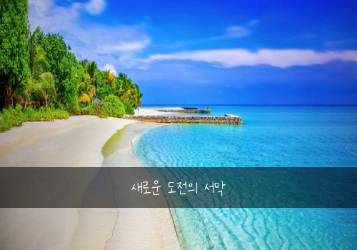 새로운 도전의 서막