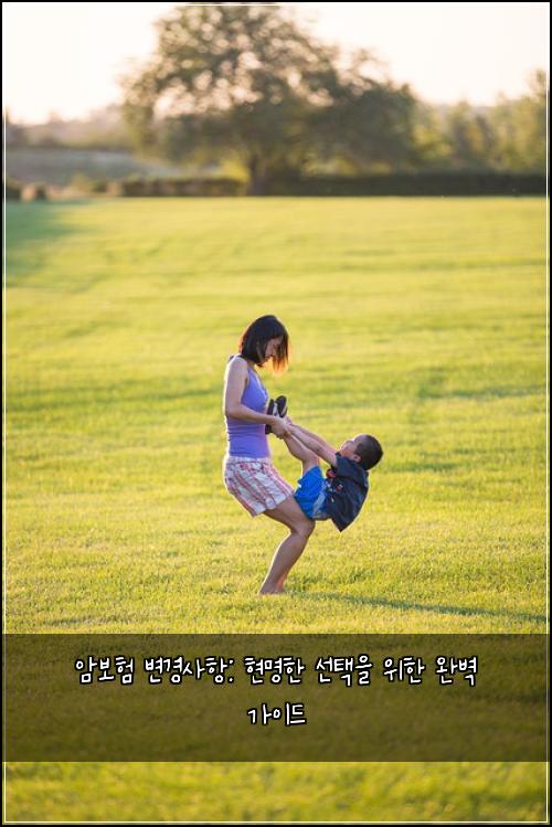 암보험 변경사항: 현명한 선택을 위한 완벽 가이드