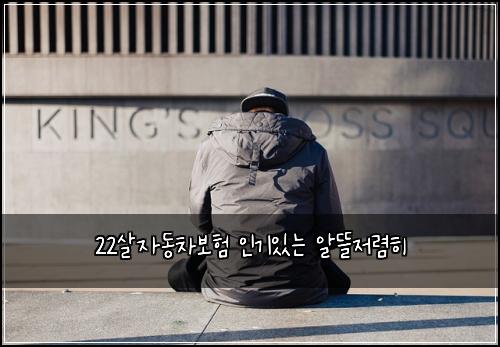 22์ด์๋์ฐจ๋ณดํ ์ธ๊ธฐ์๋ ์๋ฐ์ ๋ ดํ