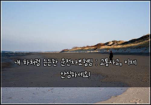  내 차처럼 든든한 운전자보험팀 : 교통사고, 이제 안심하세요!