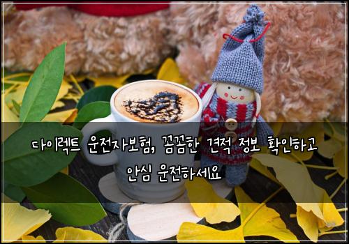  다이렉트 운전자보험, 꼼꼼한 견적 정보 확인하고 안심 운전하세요