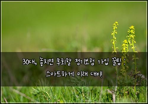 30대, 놓치면 후회할 정기보험 가입 꿀팁 : 스마트하게 미래 대비!
