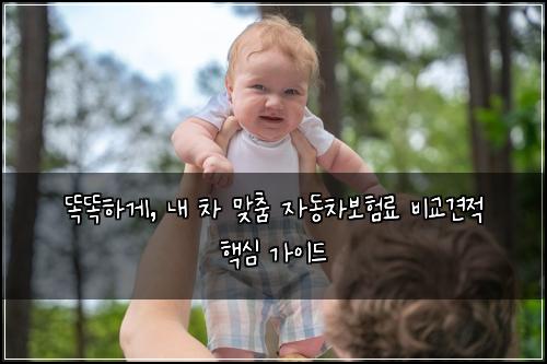  똑똑하게, 내 차 맞춤 자동차보험료 비교견적 핵심 가이드