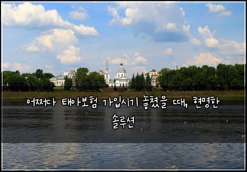  어쩌다 태아보험 가입시기 놓쳤을 때, 현명한 솔루션