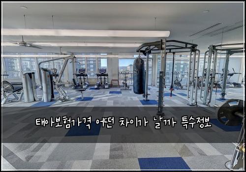 태아보험가격 어떤 차이가 날까 특수정보