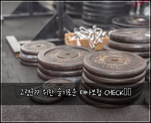 고령군👶🏻 위한 슬기로운 태아보험 CHECK✔️