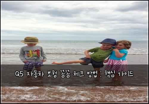 Q5 자동차 보험 꼼꼼 체크 방법 : 핵심 가이드