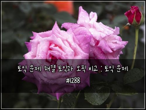 토익 문제 해결 토익과 오픽 비교 : 토익 문제 #1288