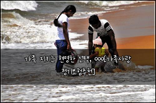 가족 지키는 현명한 선택, ㅇㅇㅇ[가족사랑 정기보험추천]