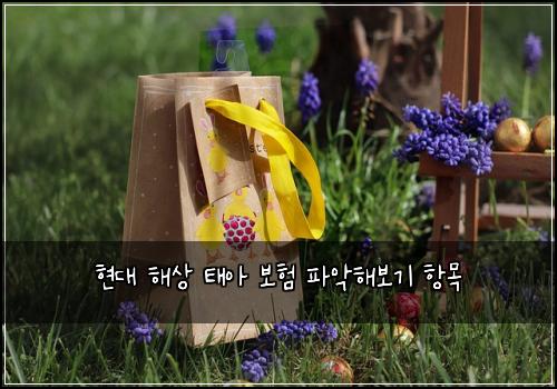 ํ๋ ํด์ ํ์ ๋ณดํ ํ์
ํด๋ณด๊ธฐ ํญ๋ชฉ