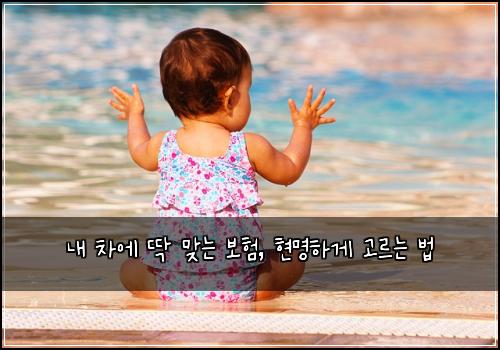  내 차에 딱 맞는 보험, 현명하게 고르는 법