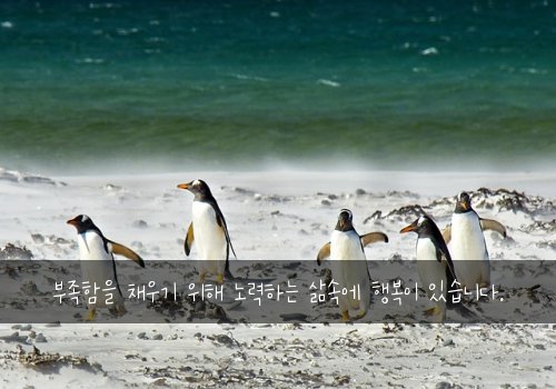 부족함을 채우기 위해 노력하는 삶속에 행복이 있습니다.