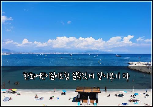 ννμ΄λ¦°μ΄μ€λΉλ³΄ν μ€μμκ² μμ보기 ν