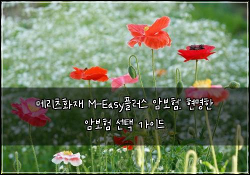 메리츠화재 M-Easy플러스 암보험: 현명한 암보험 선택 가이드