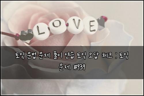 토익 문법 문제 풀이 연습 토익 오답 체크 : 토익 문제 #939