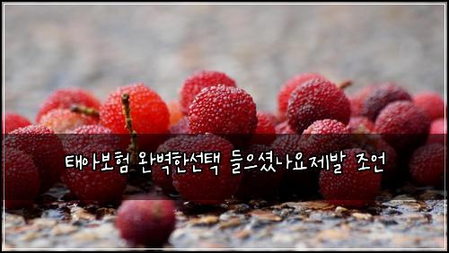 ํ์๋ณดํ ์๋ฒฝํ์ ํ ๋ค์ผ์
จ๋์์ ๋ฐ ์กฐ์ธ
