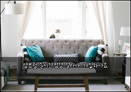 암보험 실시간점검  얼마나 가입하나요