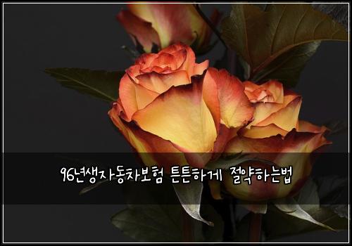 96년생자동차보험 튼튼하게  절약하는법