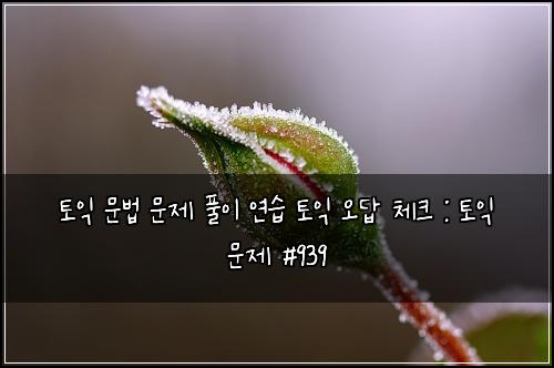 토익 문법 문제 풀이 연습 토익 오답 체크 : 토익 문제 #939