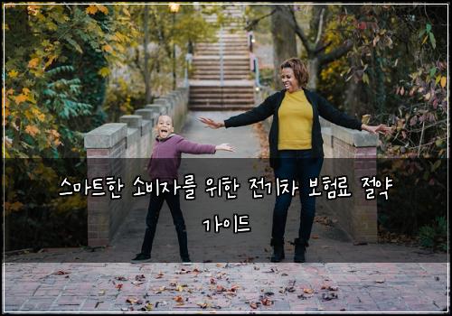  스마트한 소비자를 위한 전기차 보험료 절약 가이드
