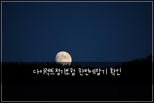다이렉트정기보험 한번에잡기  확인