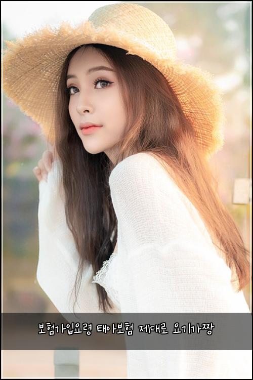 보험가입요령 태아보험 제대로 요기가짱
