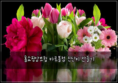 ํ์ผํ์๋ณดํ ๋ฐ๋ก๋ณผ์ ์ง๋จ๋น ๋ง๋ค๊ธฐ